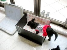 エミちゃんから♪