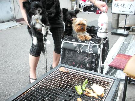 蘇化子ＢＢＱ