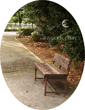 木のイス椅子公園にて