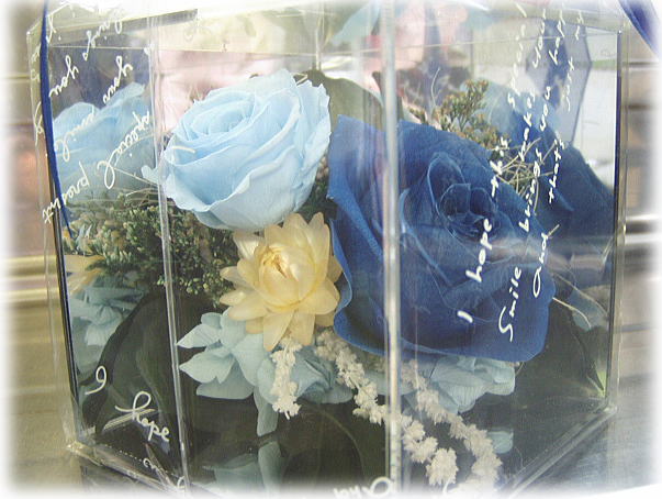 ブリザードフラワー2