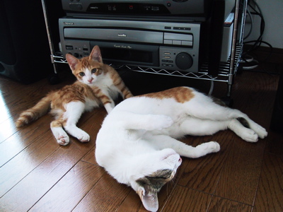 ラブラブツーショット.jpg