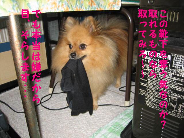 追い詰められた犯人