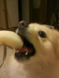 なしがｽｷ