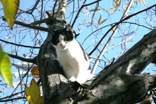 IMG_9471.JPG