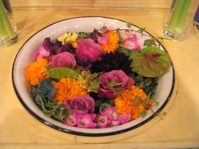 IMG_8890.JPG