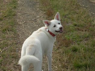 お散歩ご機嫌！