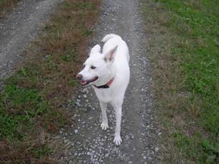 あ～楽しかった