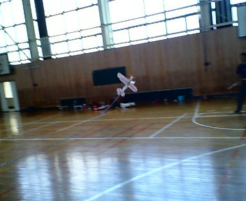 20070602142318.jpg
