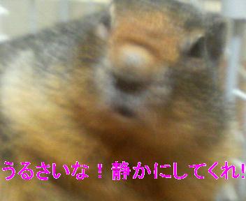 2007042316070002.JPG