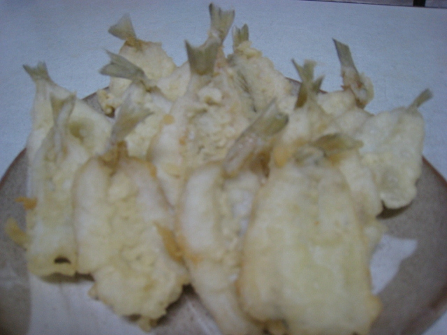 IMG_8535 (640x480).jpg