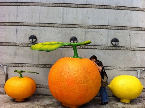 IMG_1185 (500x373).jpg