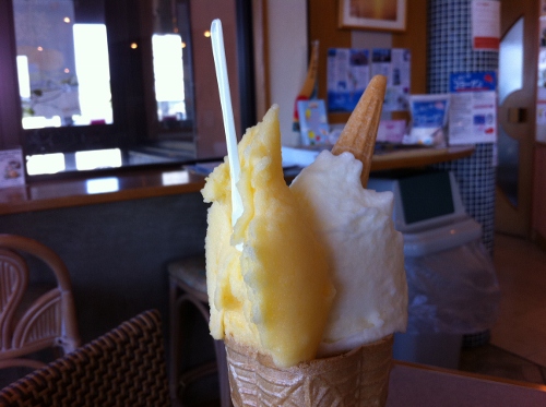 IMG_1207 (500x373).jpg