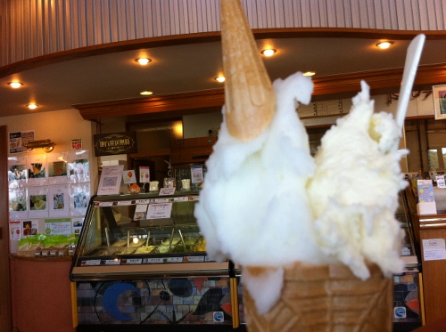 IMG_1209 (500x373).jpg