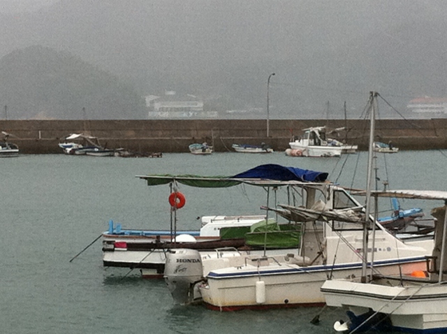 IMG_1124 (640x478).jpg