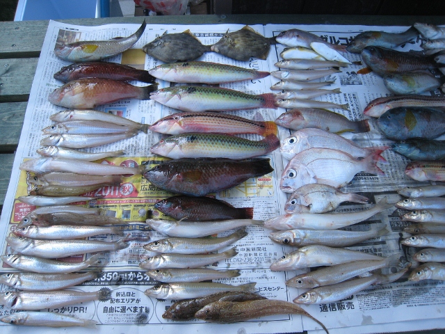 IMG_8528 (640x480).jpg