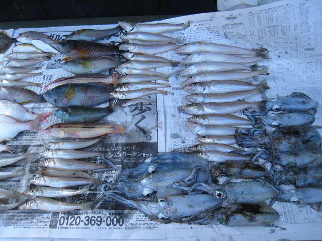 IMG_8529 (640x480).jpg