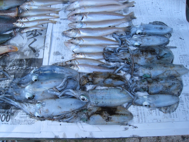 IMG_8531 (640x480).jpg