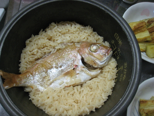 IMG_8507 (640x480).jpg