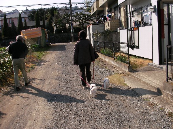 3月2日おとんおかんと.jpg