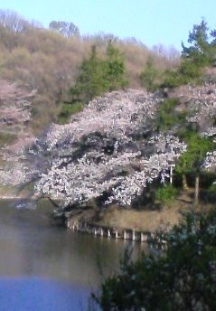 三ッ池公園