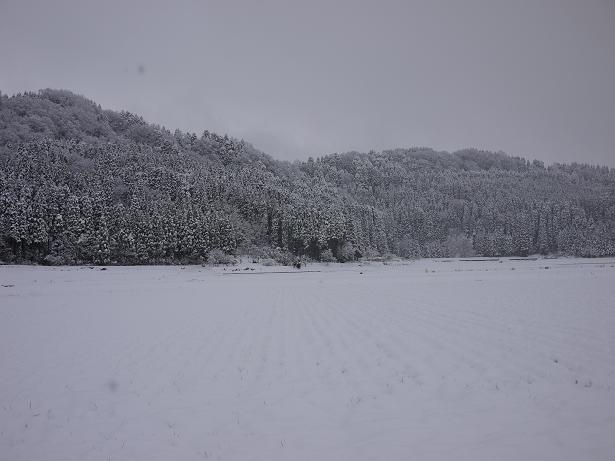 雪原.JPG