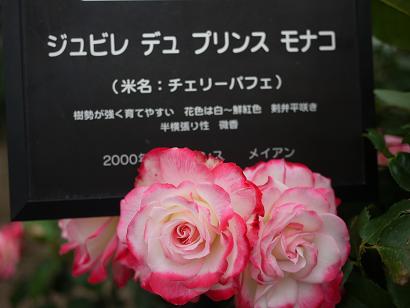 ジュビレ デュ プリンスモナコ.JPG