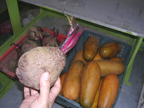 スイートニンジン、老黄瓜