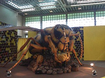 仙台市科学館巨大ハチ