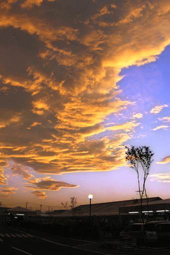 夕焼け.gif