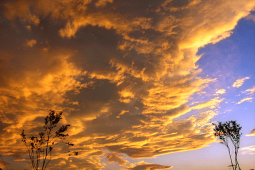 夕焼け2.gif