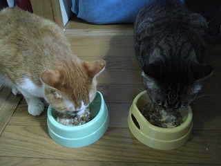 正月ごはん　うまうま　1　H23.1.2