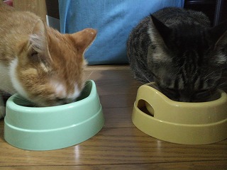 正月ごはん　うまうま　2　H23.1.2