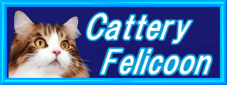 Cattery Felicoon
