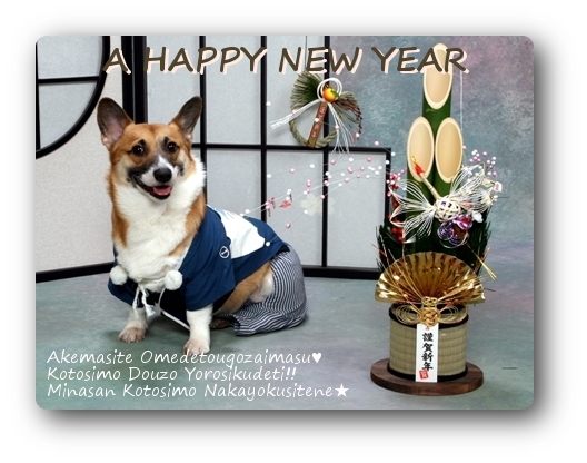 A HAPPY NEW YEAR♪