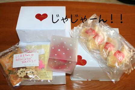 ぜ~んぶ、ししまるのだよん!!