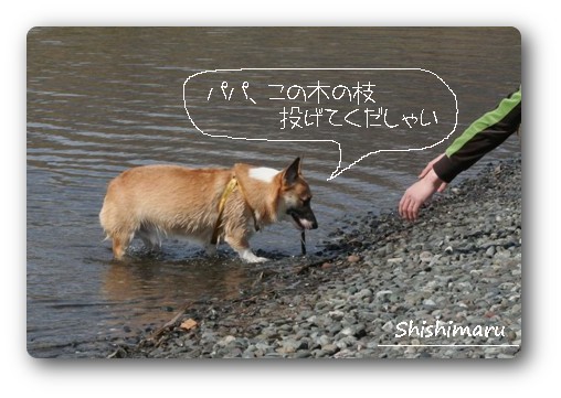 ししまる＆パパ