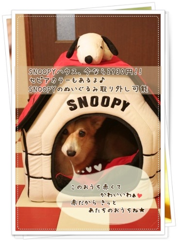 SNOOPYハウス（赤）