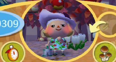 めずらしいキノコ