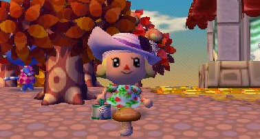 りっぱなキノコ