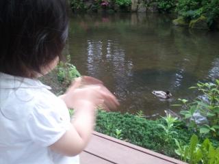 2011-06-26 17.30.31.jpg