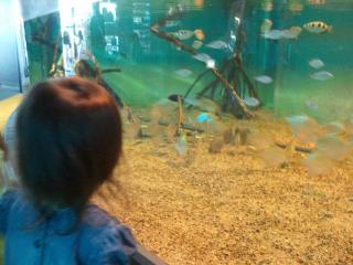 2011-06-27 11.14.18.jpg