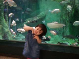 2011-06-27 11.50.06.jpg