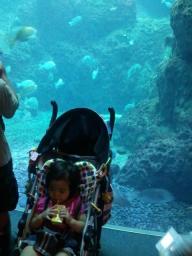 2011-08-22 11.47.19.jpg