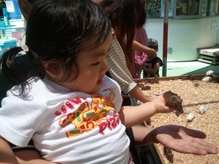 2011-06-22 12.17.28.jpg