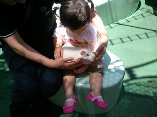 2011-06-22 12.28.00.jpg