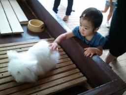 2011-08-25 11.05.25.jpg