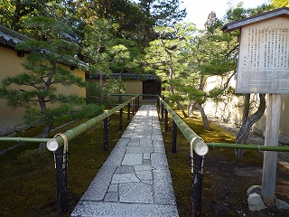 高桐院