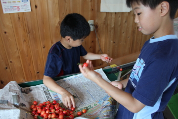 写真0654.JPG