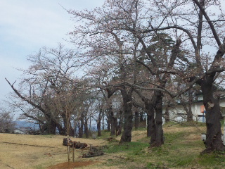 DVC00213.JPG