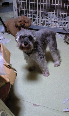 ななめー